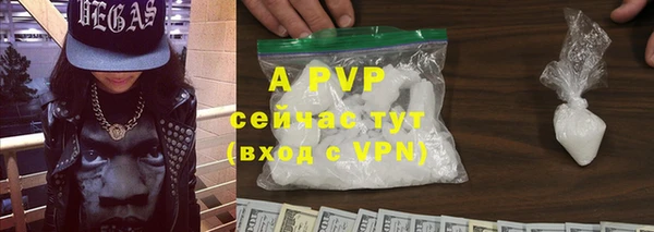 гашик Гусь-Хрустальный