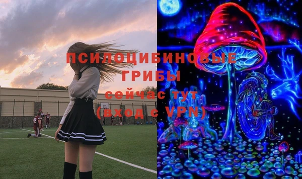 соль курить ск Гусиноозёрск