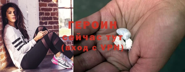 гашик Гусь-Хрустальный