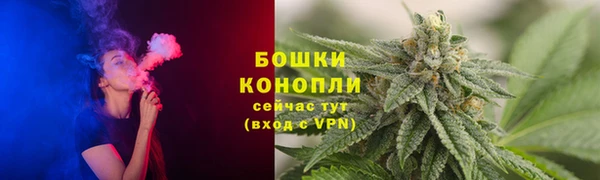 гашик Гусь-Хрустальный