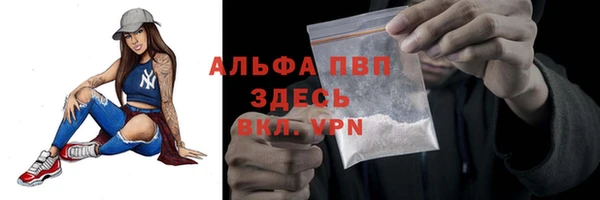 гашик Гусь-Хрустальный