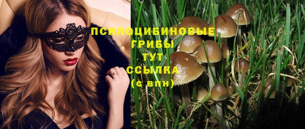гашик Гусь-Хрустальный