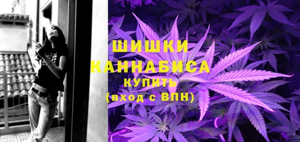 гашик Гусь-Хрустальный