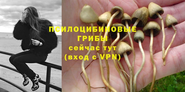 гашик Гусь-Хрустальный
