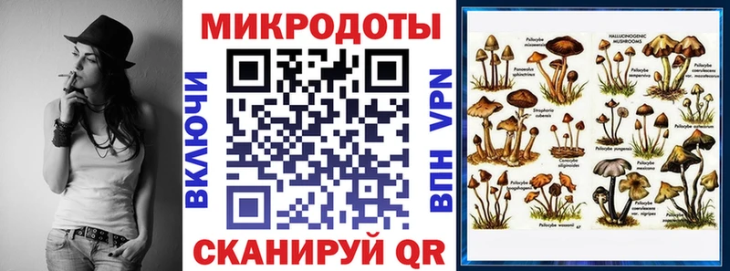 Галлюциногенные грибы Cubensis  Оленегорск 