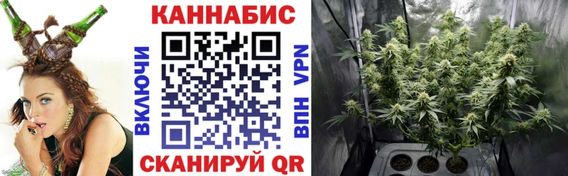 Конопля гибрид  где можно купить   Оленегорск 